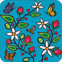 Indigenous Collections Coasters